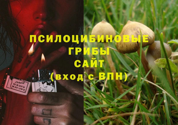 a pvp Новокубанск