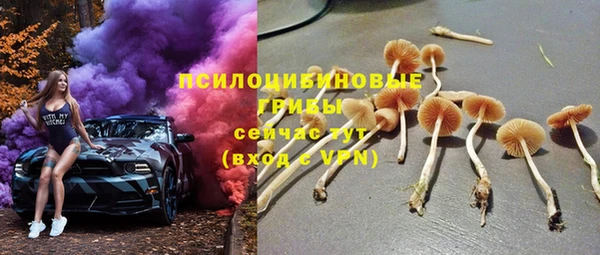 ALPHA-PVP Арсеньев