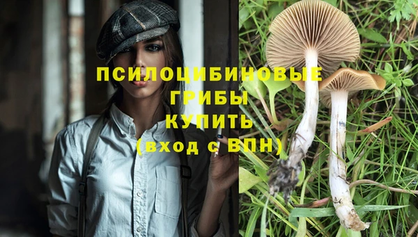 соль ск Балабаново